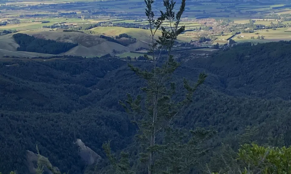 Mount Oxford Summit Scramble, Canterbury