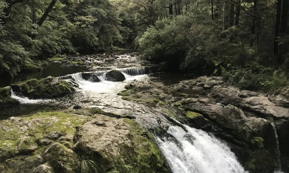 Six Mile - Matakitaki Walk, Murchison, Tasman