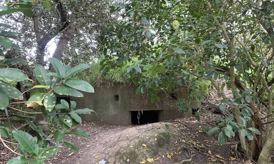 Centennial Park trails (Campbells Bay), Auckland