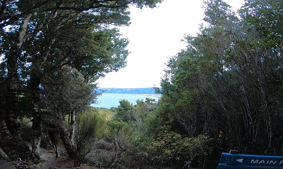 Eastbourne Ridge Loop, Wellington
