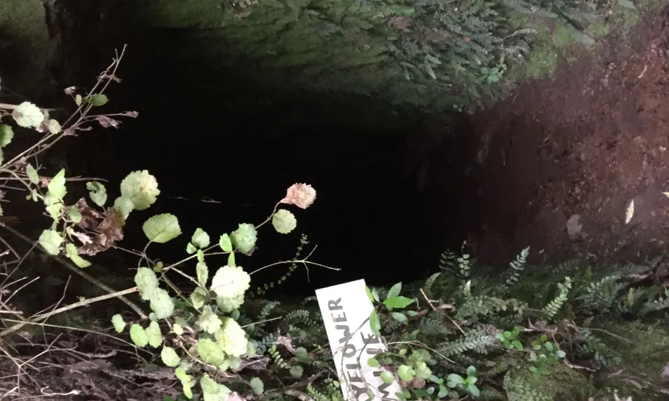 Te Aroha Summit Loop, Waikato