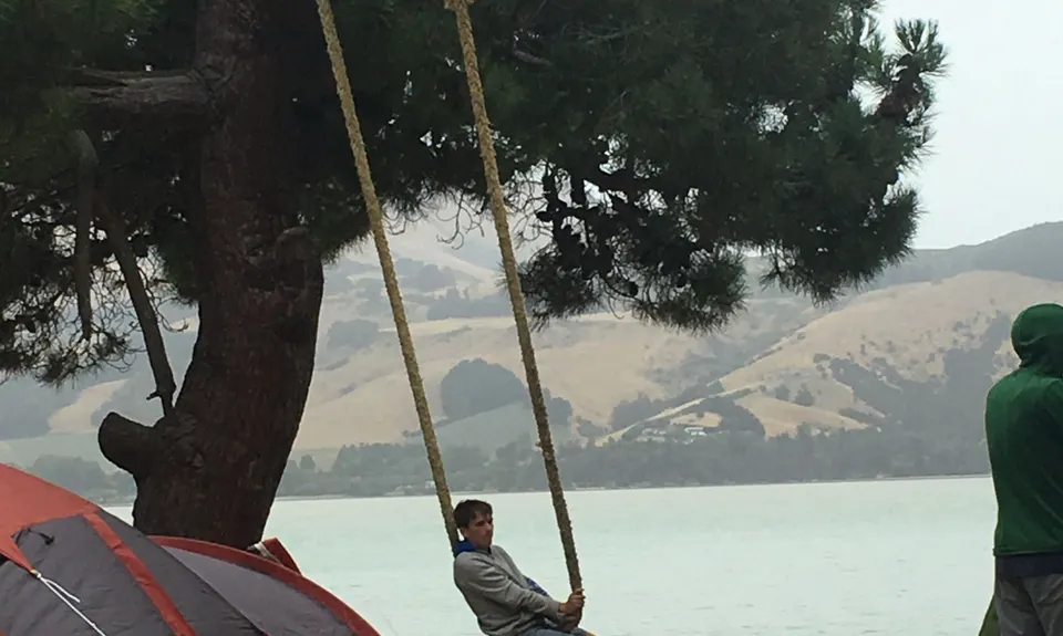 Quail Island Looping, Canterbury