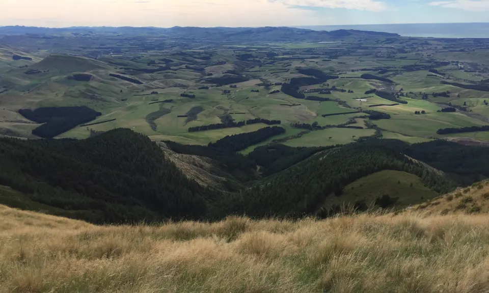 Mt Grey, Canterbury