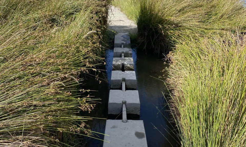 Westmorland Wetland Time Trial, Canterbury