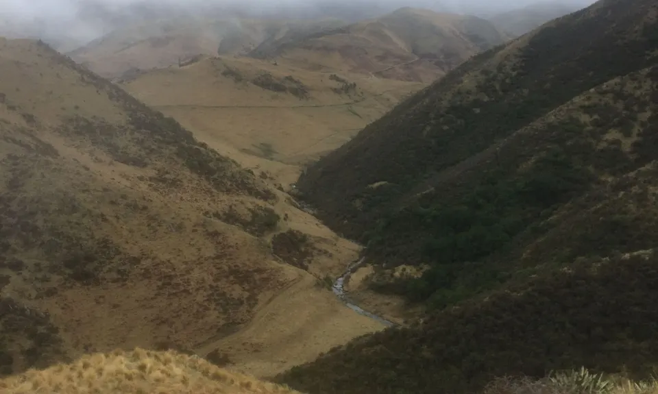 Mt Nimrod Easement Track, Canterbury