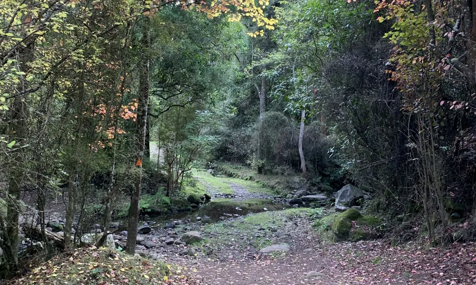Kaituna Grande Loop, Canterbury