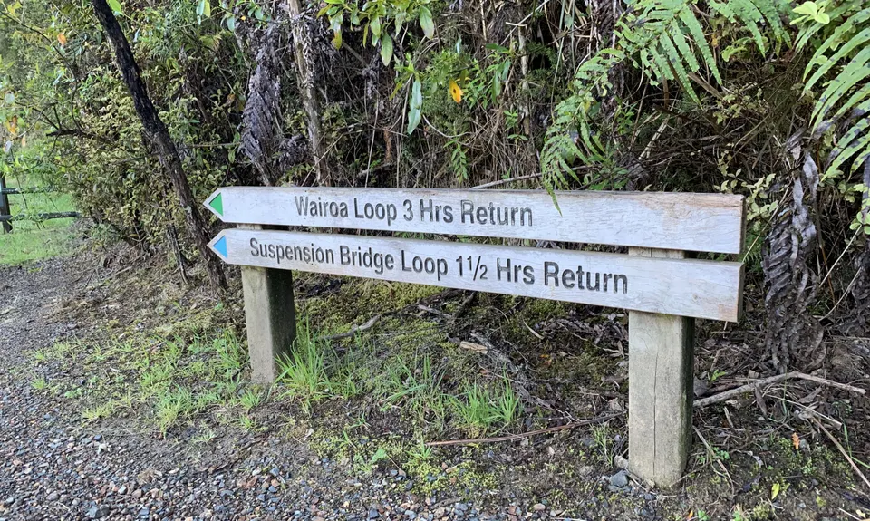 Suspension Bridge Track , Auckland
