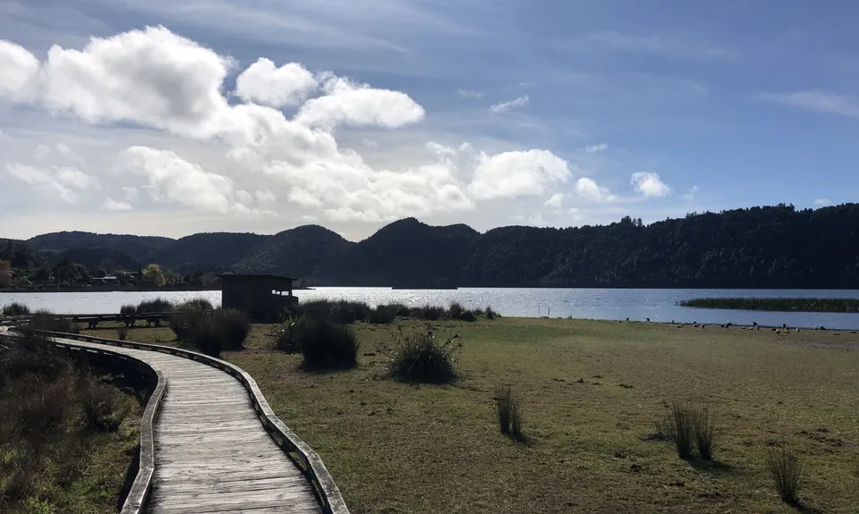 Lake Okareka Walkway, Bay of Plenty
