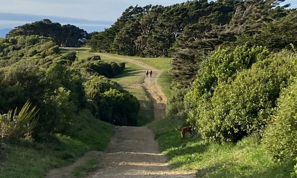 Te Ahumairangi Ridgeline, Wellington