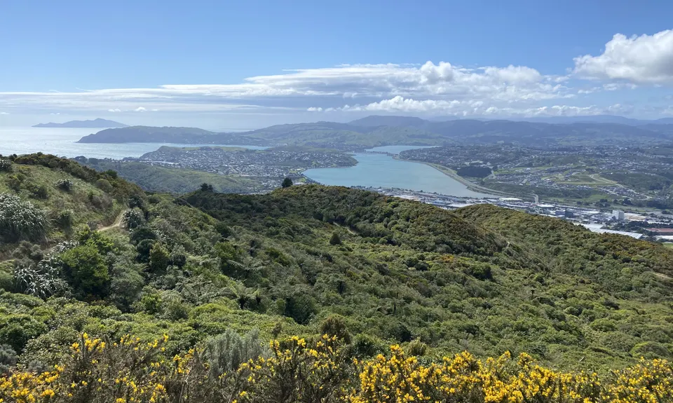 Colonial Knob Ultimate Stair Workout, Wellington