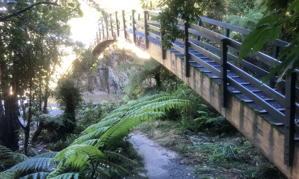 Catchpool Dress Circle, Wellington
