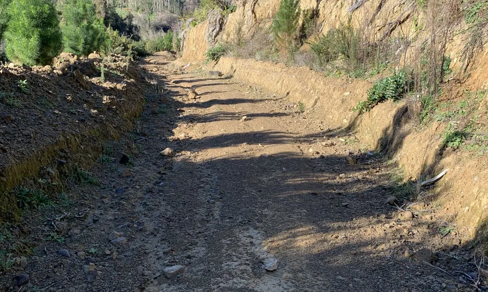 Muhunoa Loop Lung Buster , Manawatu - Wanganui
