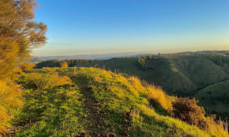 Bushy Breathtaking Branch Rd, Manawatu - Wanganui