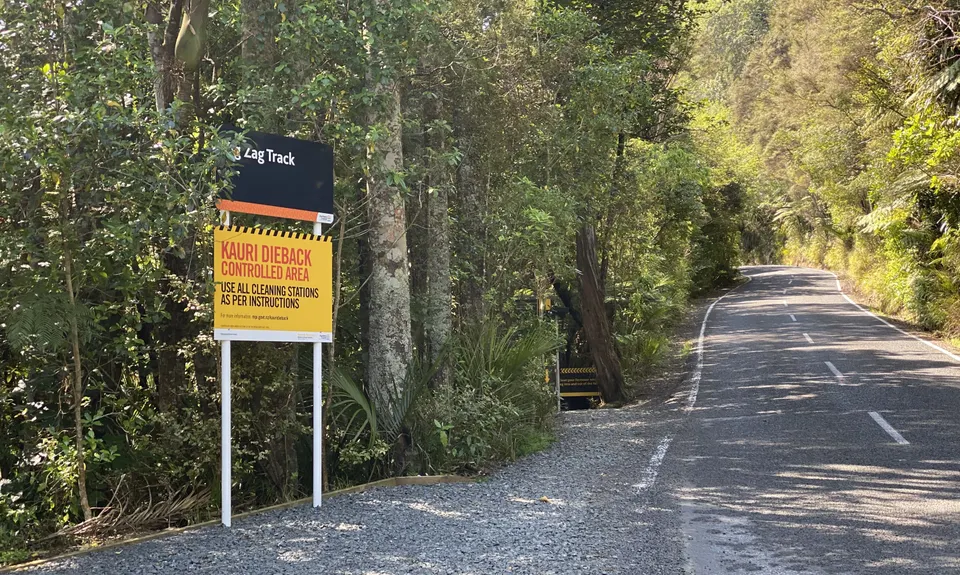 Titirangi Trainer , Auckland