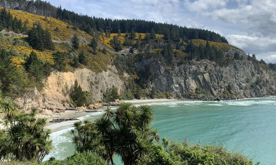 Purakaunui Beach Loop, Otago