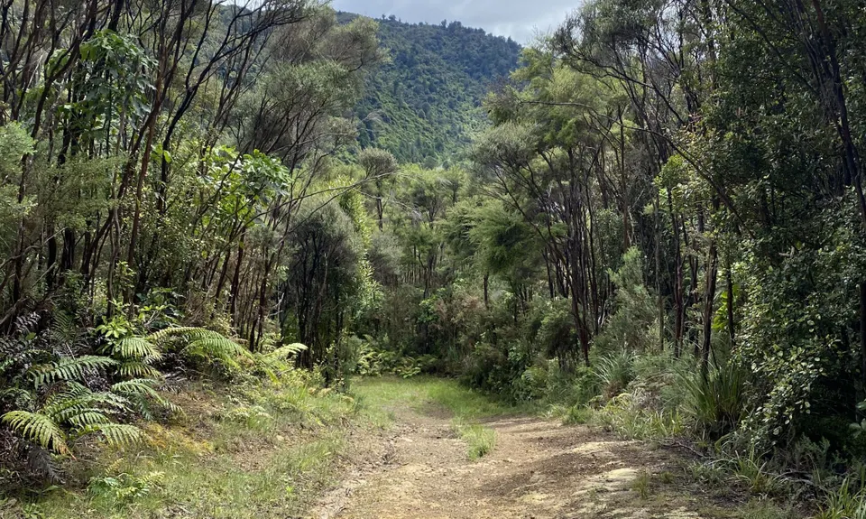 Wainuiomata Recreation Area, Wellington