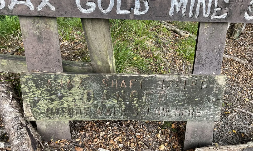 Murray Creek / Konini Track Loop, West Coast