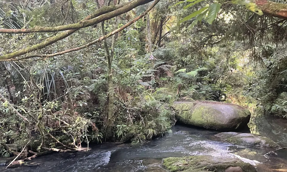 Matakana to Dome Valley Return, Auckland