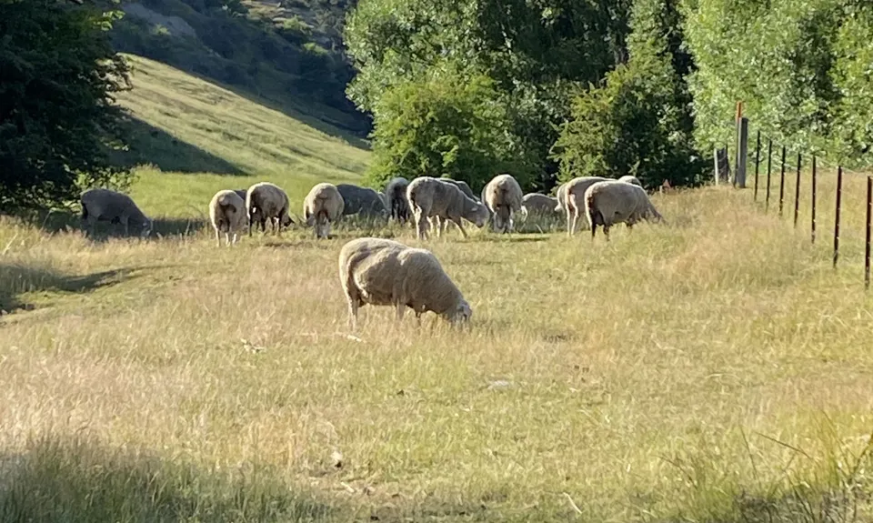 Cardrona to Meg Hut, Otago