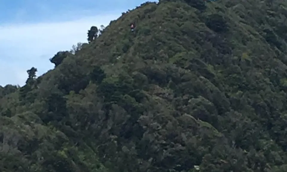 Wairake Track, Waikato