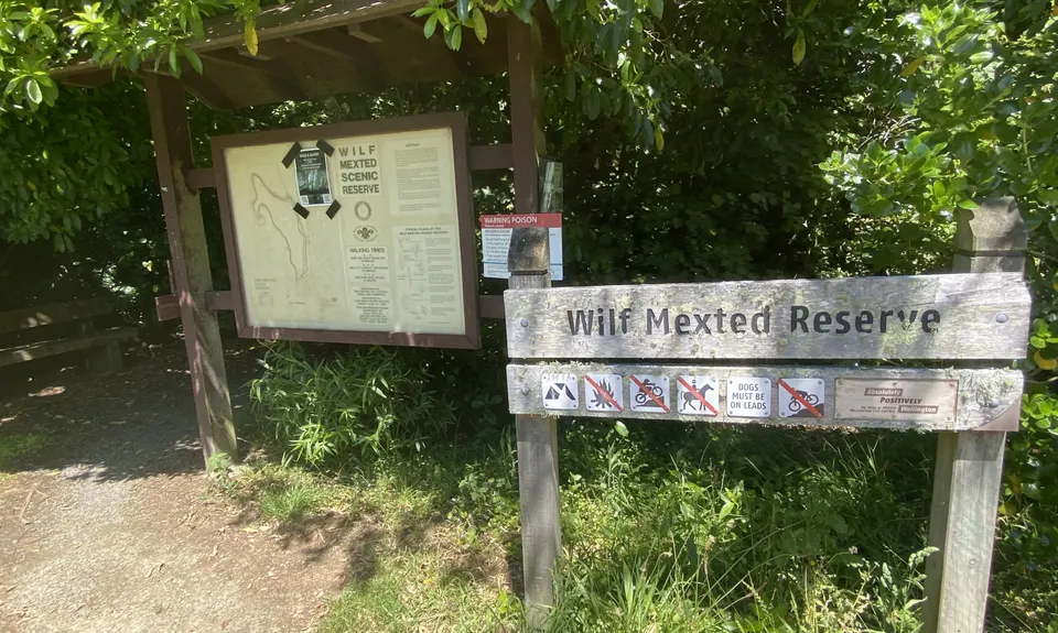 Eastern Tawa Reserves, Wellington