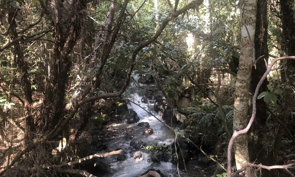 Tongariro Crossing, Waikato