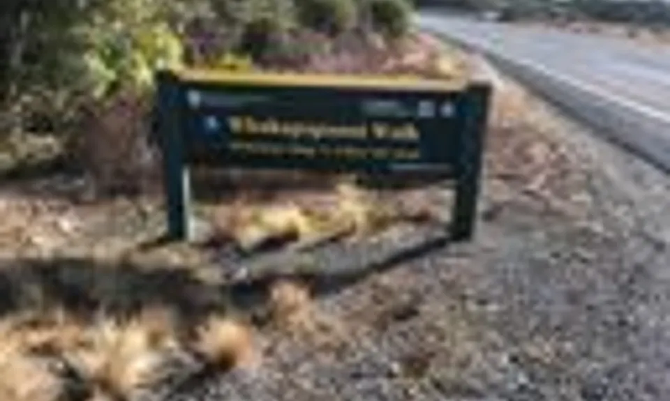 Whakapapanui Track, Manawatu - Wanganui