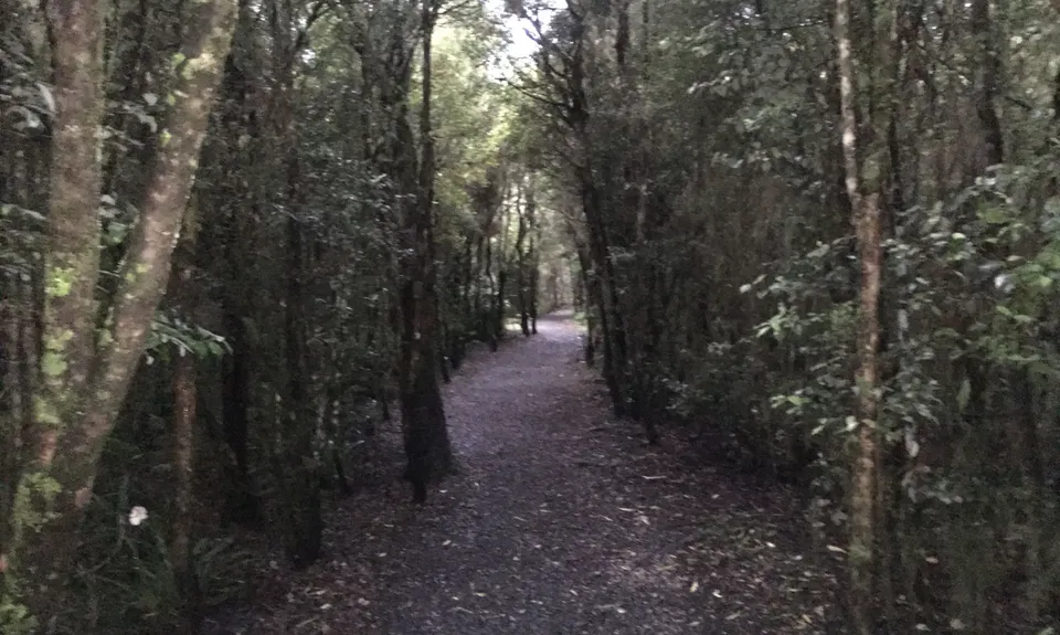 Dunsdale Domain Loop, Southland