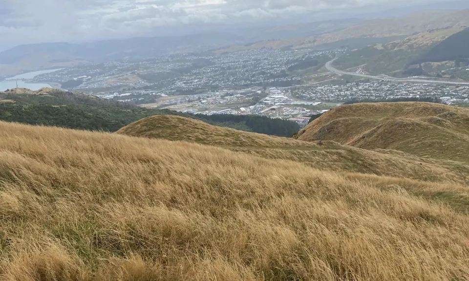 Colonial Knob - All the Hills, Wellington