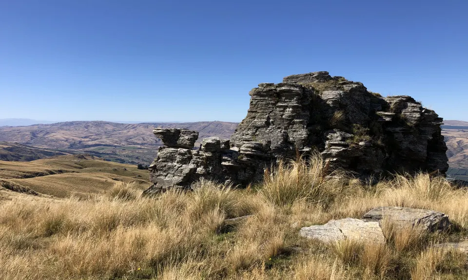 Bullock Track , Otago