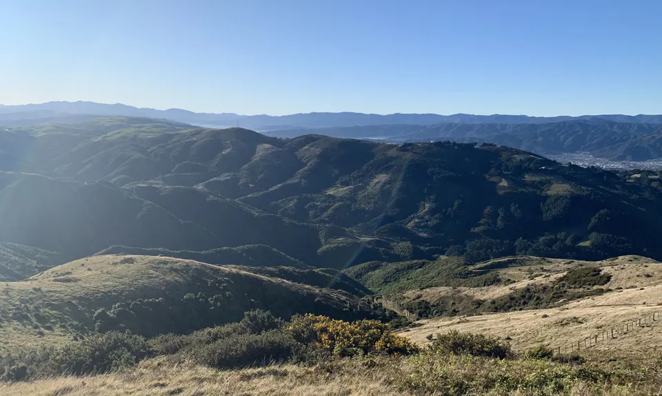 Pareraho to Cornish, Wellington