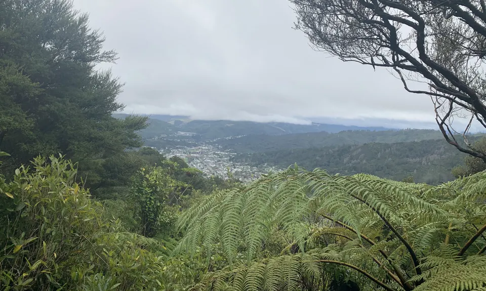 Soil Bureau, Wellington