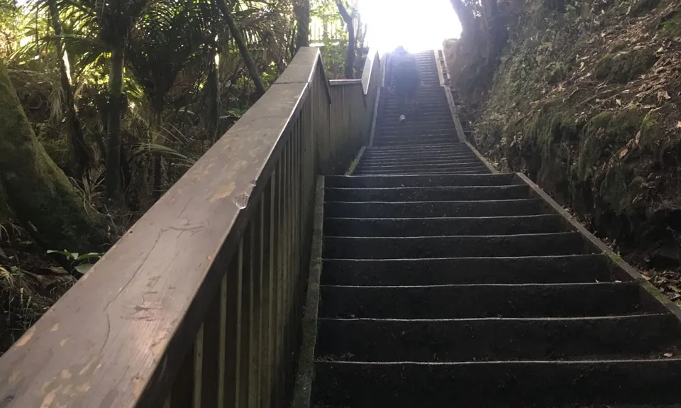 Totara Park Track, Auckland