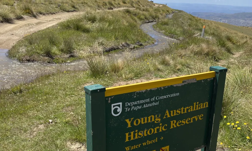 Young Australian, Otago