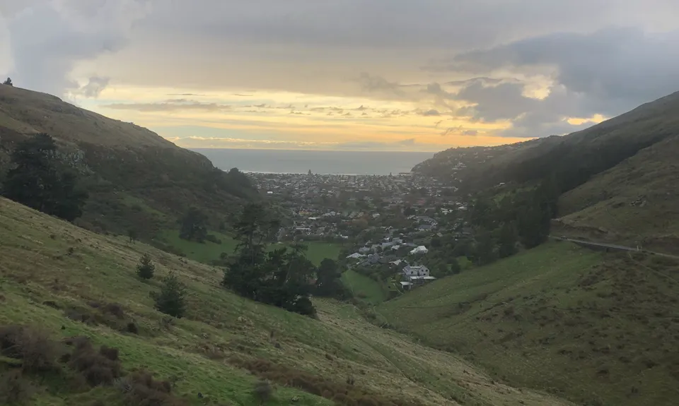 Sumner Half Heads, Canterbury