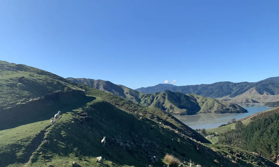 Cable Bay - Glenduan, Nelson
