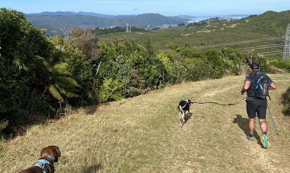 Dry Creek Loop, Wellington