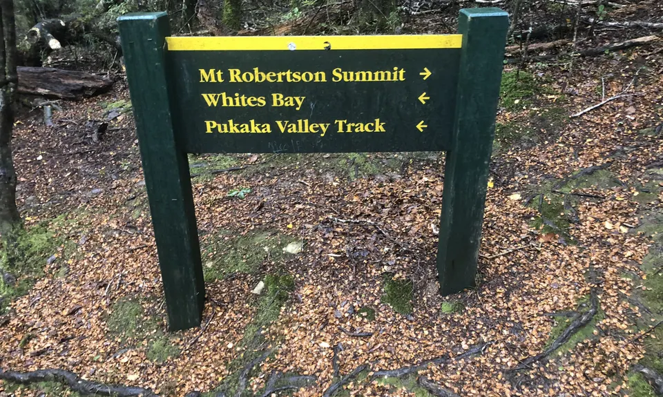 Tokomaru, Mt Robertson Circuit, Marlborough
