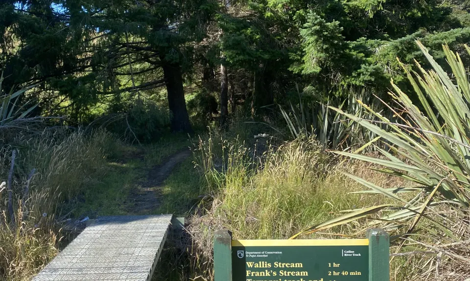 Catlins River Track, Otago
