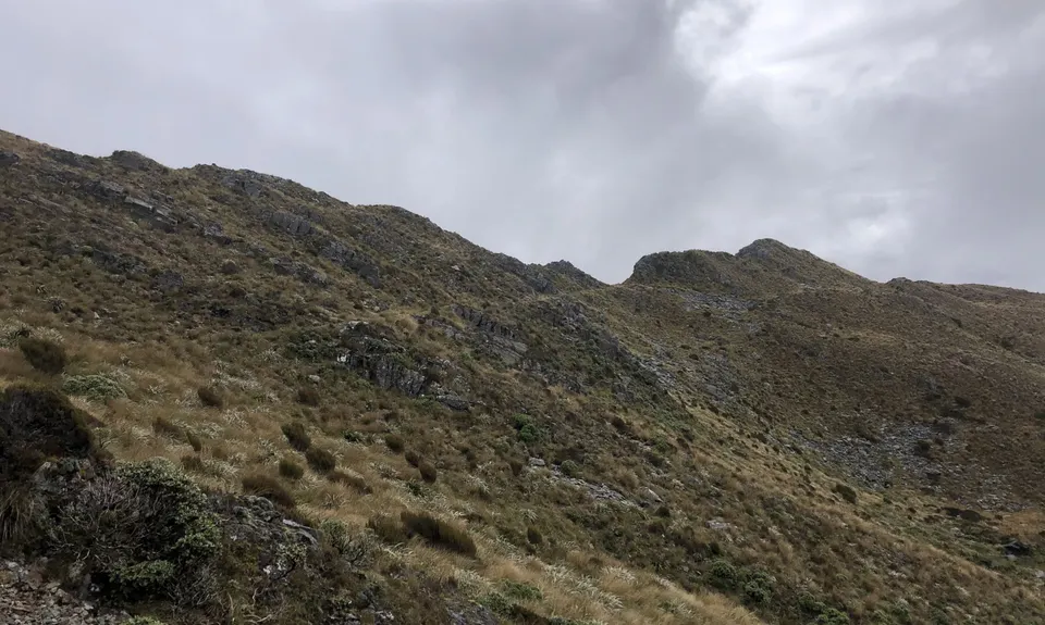 Mt Watson Croesus Loop, West Coast