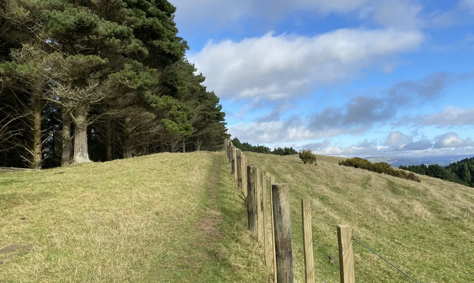 Colonial Knob - All the Hills, Wellington