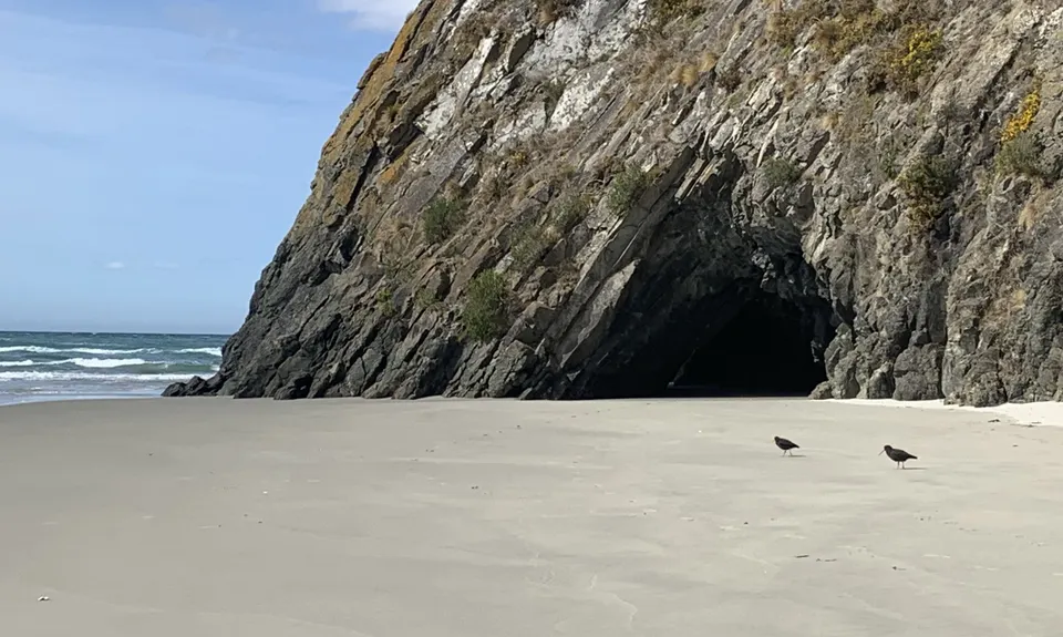Purakaunui Beach Loop, Otago