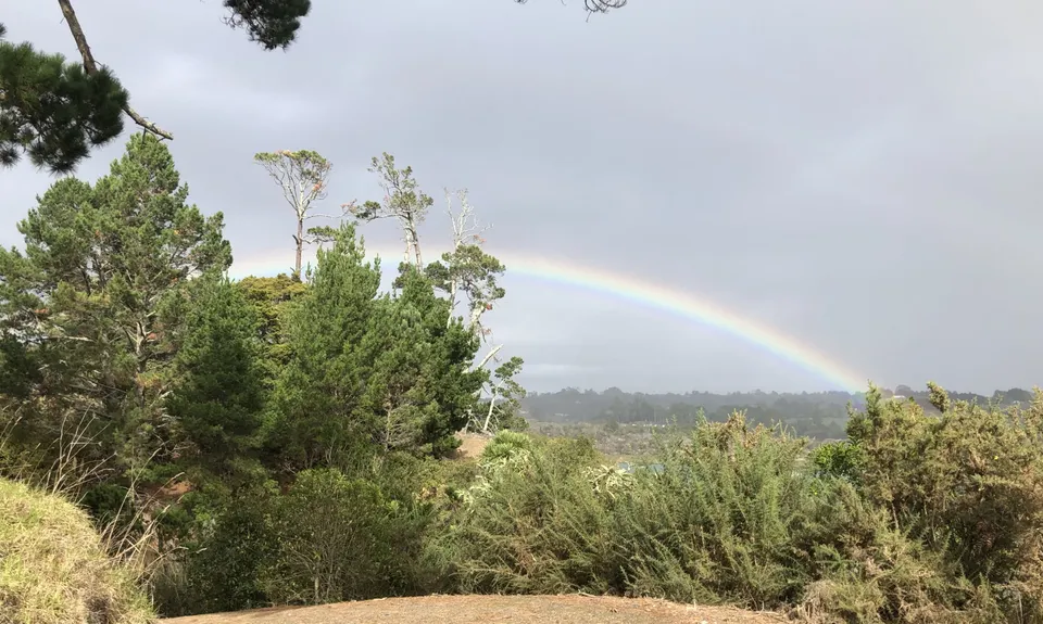Whitford Coastal Trail Loop , Auckland