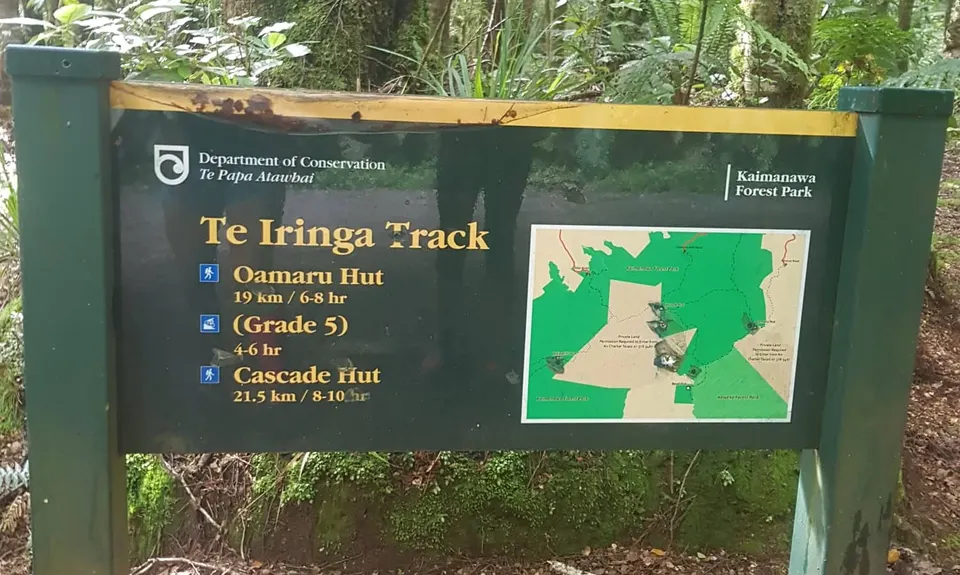 Te Iringa Track , Waikato