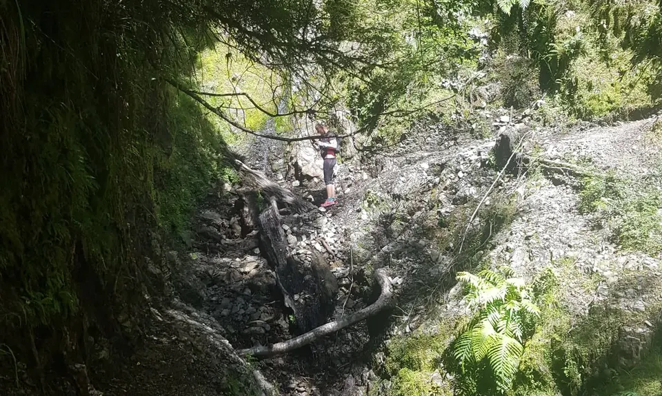 Te Iringa Track , Waikato