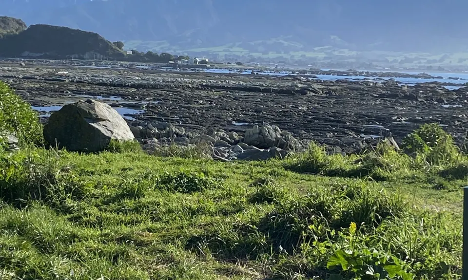 Kaikoura Cracker, Canterbury