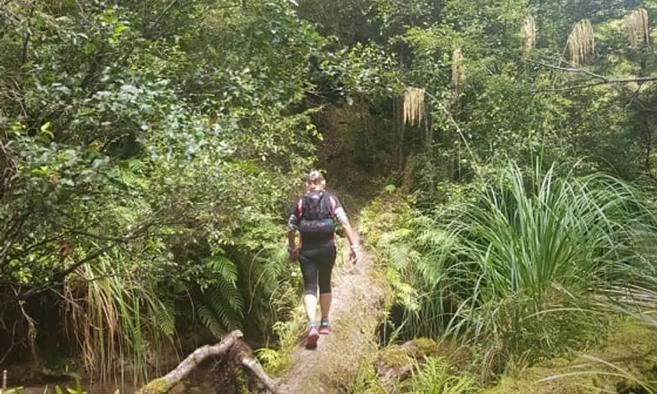 Te Iringa Track , Waikato