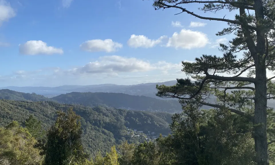 Tawhai Loop, Wellington