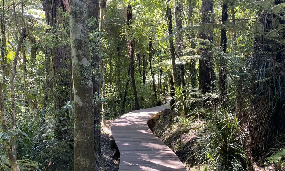 Titirangi Trainer , Auckland