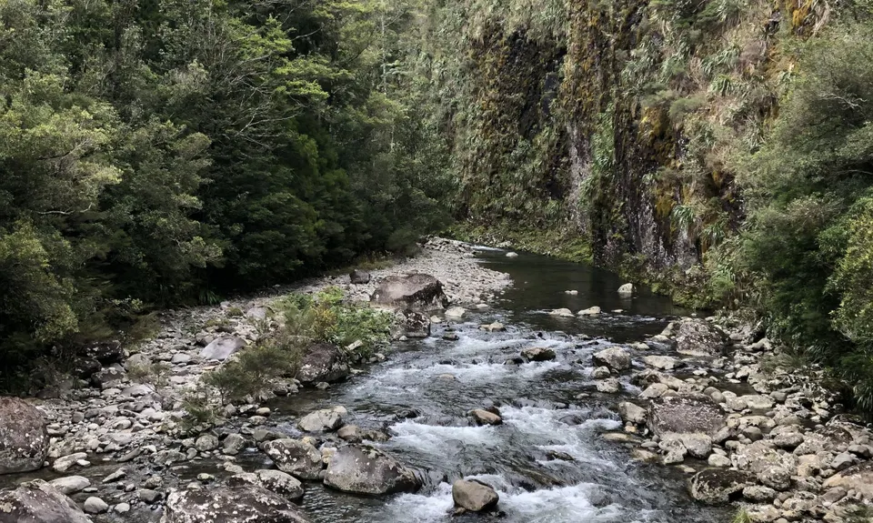 Te Aroha Killer Loop, Waikato